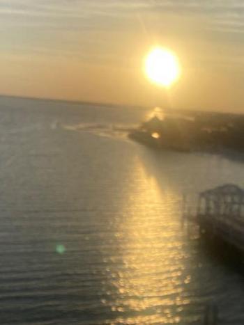 9043235586, female escort, Tallahassee