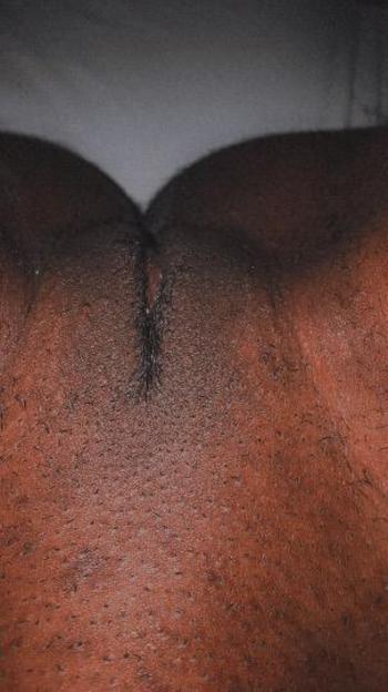 2294997340, female escort, Tallahassee